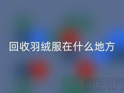 ### 高价必一网页版羽绒服在什么地方—诚信可靠合作，上海腾布贸易