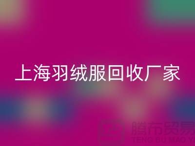 羽绒服必一网页版：环保与经济的双重考量，上海厂家引领行业新风尚