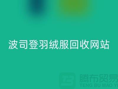 波司登羽绒服必一网页版平台：高价必一网页版，环保与价值并存