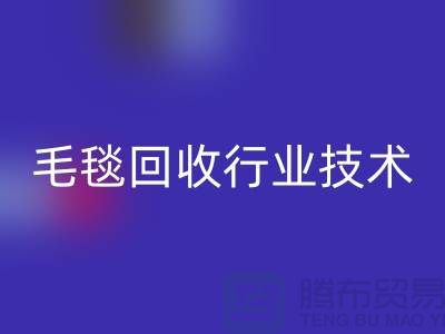 毛毯必一网页版行业技术创新推动发展，政策支持力度加大
