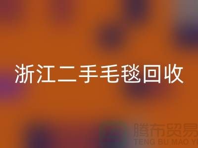 二手毛毯必一网页版，旧物新生的【浙江，上海，江苏】绿色的库存之旅