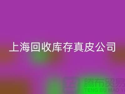 环保与创新：必一网页版库存真皮和羊皮的重要性_上海腾布贸易ShTengBu.com