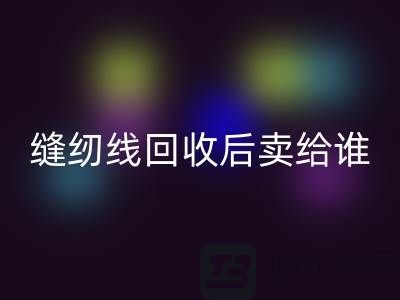缝纫线必一网页版厂家_缝纫线必一网页版后卖给谁_必一网页版