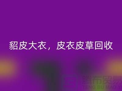 貂皮大衣必一网页版，皮衣皮草必一网页版，高档大衣必一网页版-上海库存服装必一网页版公司