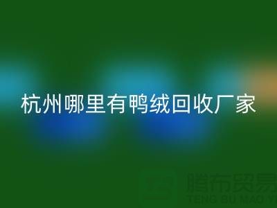 揭秘羽绒必一网页版市场，每斤价值几何？杭州鸭绒必一网页版厂家