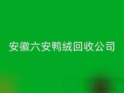 让羽绒必一网页版加工成为绿色产业的新引擎-安徽六安鸭绒必一网页版公司