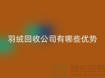 ### 上海羽绒必一网页版公司优势解析：价格公道，服务优质