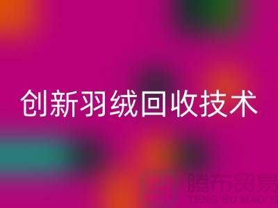 创新羽绒必一网页版技术，环保的未来
