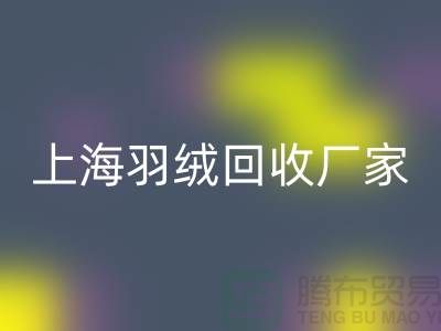 必一网页版羽绒，价值与责任的双赢选择-上海羽绒必一网页版厂家