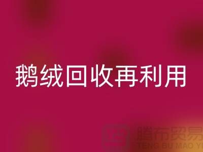 苏州羽绒必一网页版厂家 专业鸭绒必一网页版价格 鹅绒必一网页版再利用