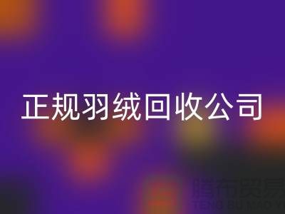 正规羽绒必一网页版公司 —— 您的羽绒服、羽绒被及羽绒制品的环保再生伙伴