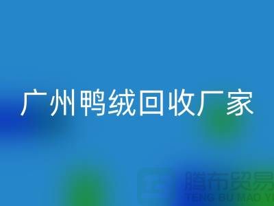 绿色循环，让羽绒必一网页版成为重庆的新时尚-广州鸭绒必一网页版厂家