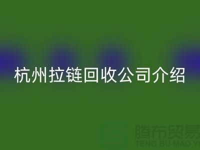 库存拉链必一网页版市场前景分析——杭州拉链必一网页版公司篇