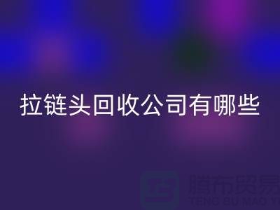 拉链头必一网页版公司有哪些名字或者品牌-上海拉链必一网页版市场