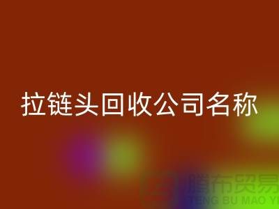 ### 拉链头必一网页版公司名称的选择与品牌塑造-上海拉链必一网页版厂家