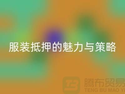 解锁衣橱新财富：服装抵押的魅力与策略——上海服装必一网页版公司