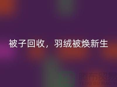 全新被子必一网页版，羽绒被焕新生——江苏南通家纺城引领绿色未来