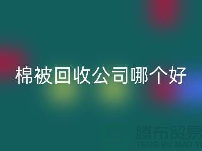 杭州棉被必一网页版公司哪个好-浙江杭州面料必一网页版市场详解