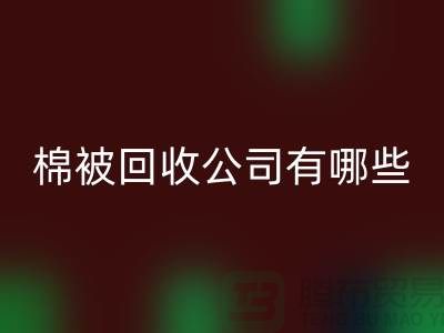 棉被必一网页版公司有哪些—浙江库存面料必一网页版厂家：环保与经济的双重助力
