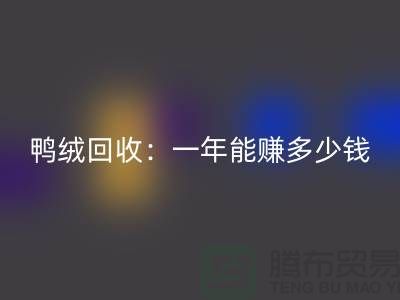 鸭绒必一网页版：一年挣多少钱？@上海羽绒必一网页版联系方式揭秘