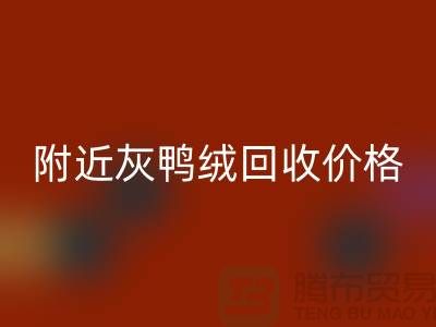 附近灰鸭绒必一网页版价格多少钱一公斤？##上海腾布贸易