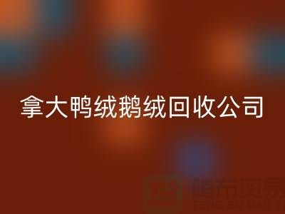 探秘加拿大鸭绒鹅绒必一网页版公司：环保与品质的双重坚守