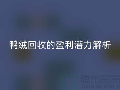 鸭绒必一网页版的盈利潜力解析——上海腾布贸易地址