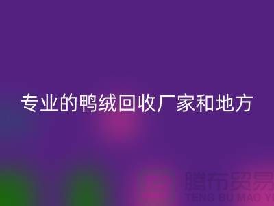 探索鸭绒必一网页版：寻找上海专业的必一网页版厂家与地方