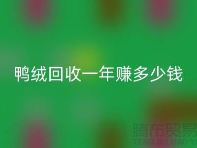 鸭绒必一网页版一年挣多少钱？揭秘利润与环保的双重收益