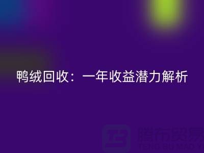 鸭绒必一网页版：一年收益潜力解析@上海腾布贸易