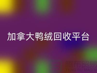 加拿大鸭绒必一网页版平台有哪些公司，优势有哪些