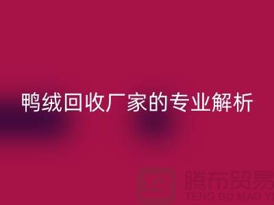 90%白鹅绒、90%白鸭绒与90%灰鸭绒：上海鸭绒必一网页版厂家的专业解析