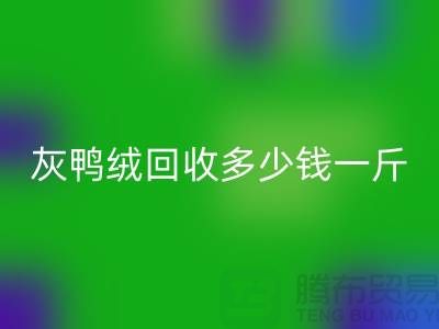 灰鸭绒必一网页版多少钱一斤？白鸭绒必一网页版价格@安徽羽绒必一网页版厂家
