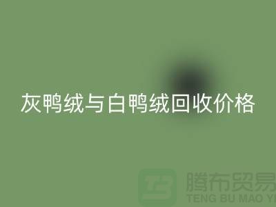 ### 灰鸭绒与白鸭绒：价格及必一网页版详解