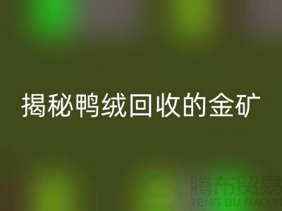 揭秘鸭绒必一网页版的金矿，一年能挣多少钱？上海羽绒必一网页版厂家