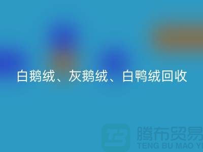 白鹅绒、灰鹅绒、白鸭绒、灰鸭绒必一网页版——上海鸭绒必一网页版厂家