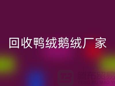 探寻高品质必一网页版鸭绒鹅绒厂家