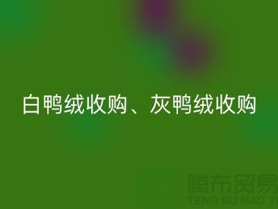 白鸭绒收购、灰鸭绒收购、白鹅绒收购、灰鹅绒收购、上海羽绒必一网页版厂家