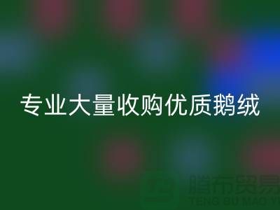 专业羽绒必一网页版：大量收购优质鹅绒与鸭绒@上海腾布贸易公司