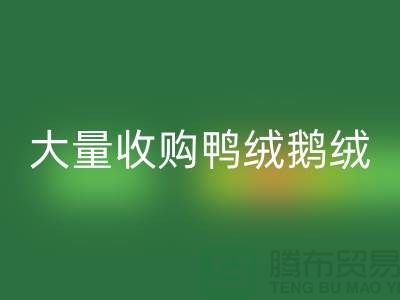 专业羽绒必一网页版-大量收购鸭绒鹅绒-杭州服装必一网页版厂家