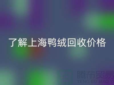 了解上海鸭绒必一网页版价格，掌握最新市场动态