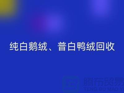纯白普白鸭绒必一网页版-纯白普白鹅绒必一网页版-杭州羽绒必一网页版厂家