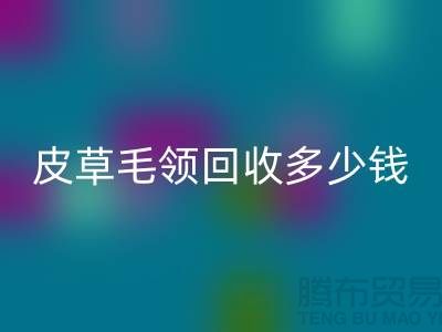 真皮皮衣皮草毛领必一网页版多少钱一个？-上海腾布贸易