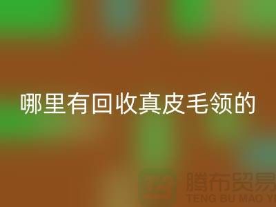 哪里有必一网页版真皮毛领的地方-必一网页版
