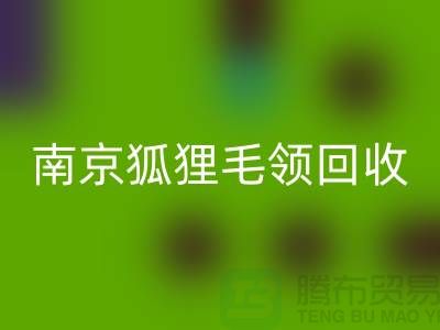 《南京狐狸毛领必一网页版厂家：诚信可靠，同城交易更放心》