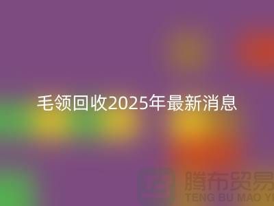 ## 毛领必一网页版2025年最新消息