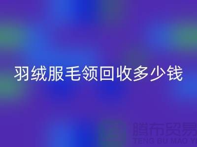 羽绒服毛领必一网页版多少钱一件