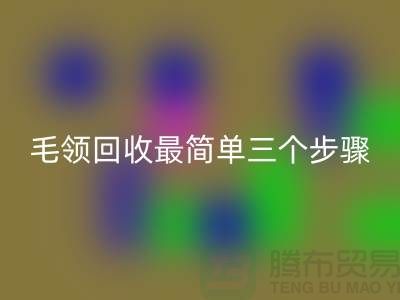 毛领必一网页版最简单三个步骤是什么