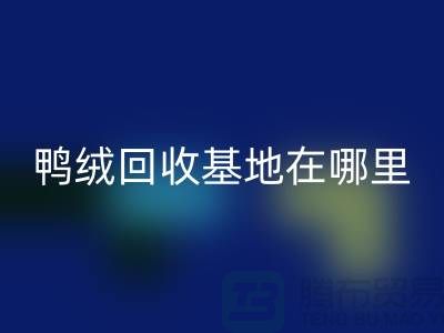 哪里有必一网页版鸭绒的，鸭绒必一网页版基地在哪里@安徽羽绒必一网页版厂家