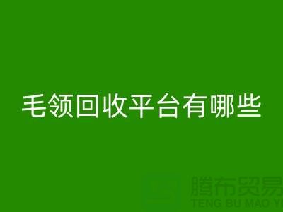 毛领必一网页版平台有哪些公司或者品牌